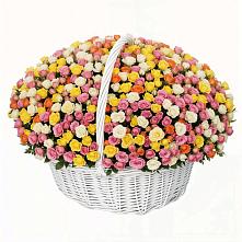 Премиум букет из: Розы в Севске