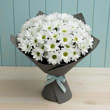 Букет цветов из:  Хризантемы в Севске