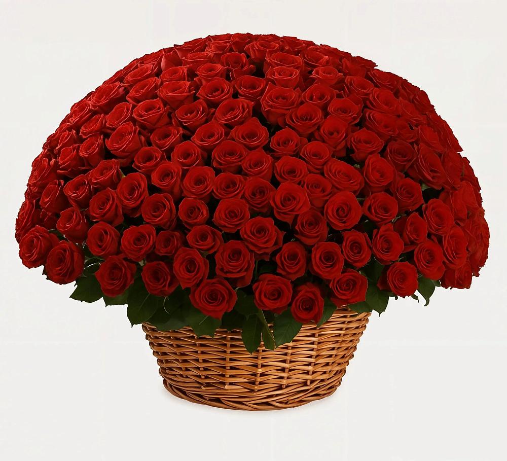 Премиум букет из: Розы в Севске