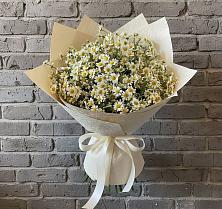 Букет цветов из:  Ромашки #REPLACE_PRED# Севске