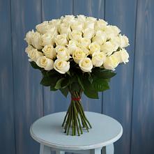 Букет 51 Белая роза Эдлесс Лав #REPLACE_PRED# Севске