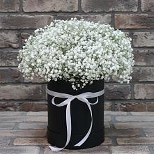 Цветочная композиция из Гипсофила в шляпной коробке #REPLACE_PRED# Севске