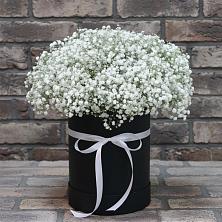 Цветочная композиция из Гипсофила в шляпной коробке в Севске